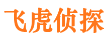 民丰婚外情调查取证